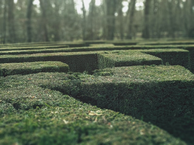 b2b buyer journey is a maze